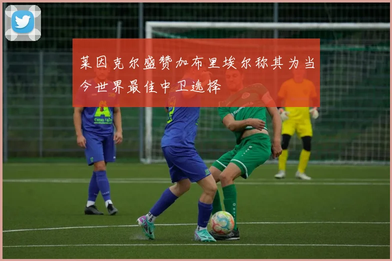 莱因克尔盛赞加布里埃尔称其为当今世界最佳中卫选择